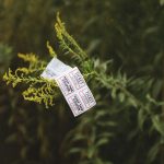 unsplash_1143.jpg