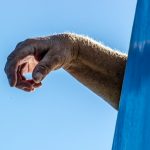 Где купить оземпик в Екатеринбурге по доступной цене и как он работает unsplash_772.jpg