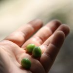 Где купить Оземпик в Москве и как заказать с доставкой по России unsplash_785.jpg
